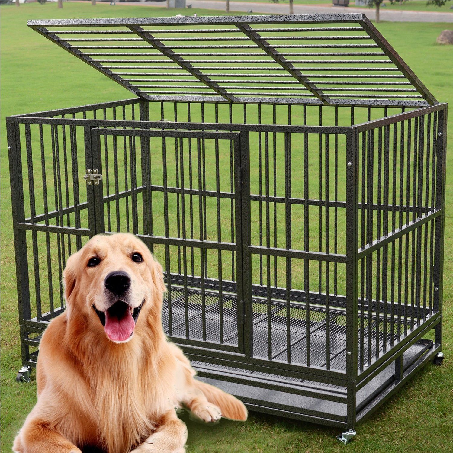 Metal cage for dogs