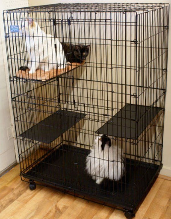 Metal cage for cats