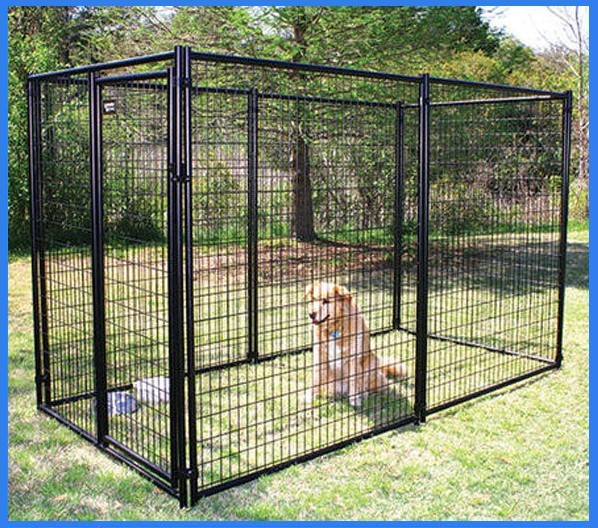 Collapsible cage for dogs